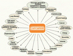 Curcumin Pros
