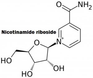 Nicotinamide Riboside +