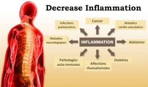 Decrease Inflammation 