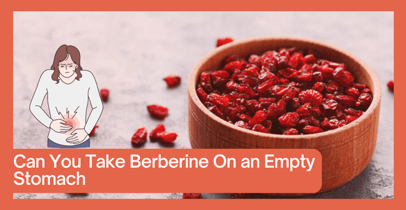 Can You Take Berberine On an Empty Stomach