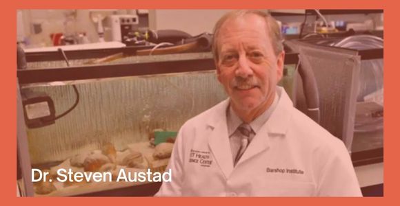 Dr. Steven Austad
