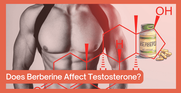 Testosterone Effect with Berberine