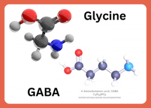 GABA vs Glycine