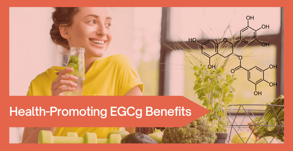 Health-Promoting EGCg Benefits