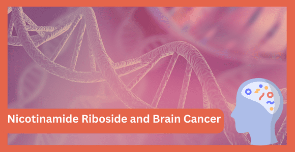 Nicotinamide Riboside and Brain Cancer
