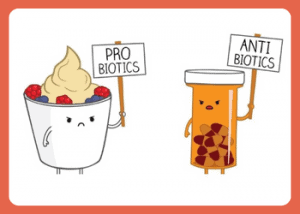 Antibiotic vs Probiotic vs Prebiotic