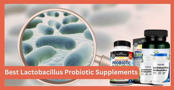 Best Lactobacillus Probiotic Supplements