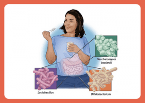 Bifidobacterium benefits