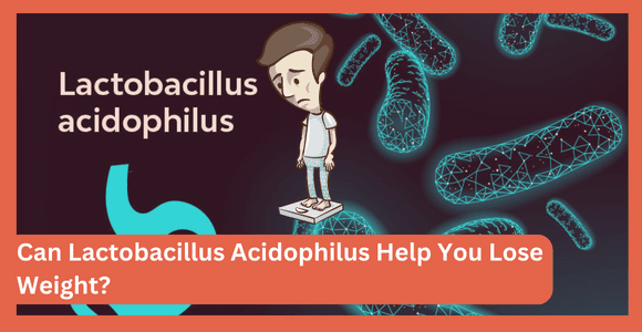 Can Lactobacillus Acidophilus Help You Lose Weight