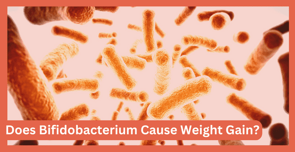 Does Bifidobacterium Cause Weight Gain