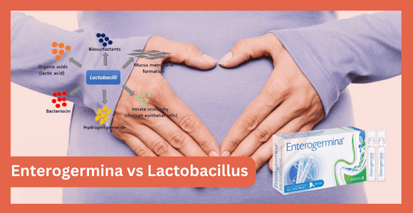 Enterogermina vs Lactobacillus