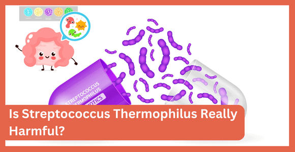 Is Streptococcus Thermophilus Really Harmful