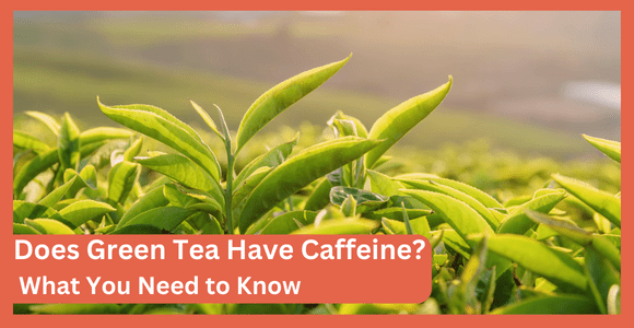 Does Green Tea Have Caffeine What You Need to Know