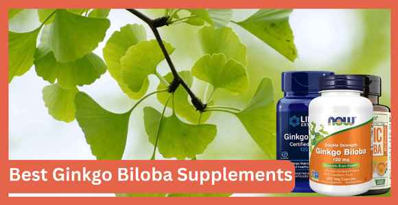 Ginkgo Biloba Supplements